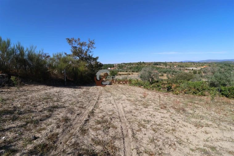 Quinta T0 para Venda em Carrapichana Foto 12