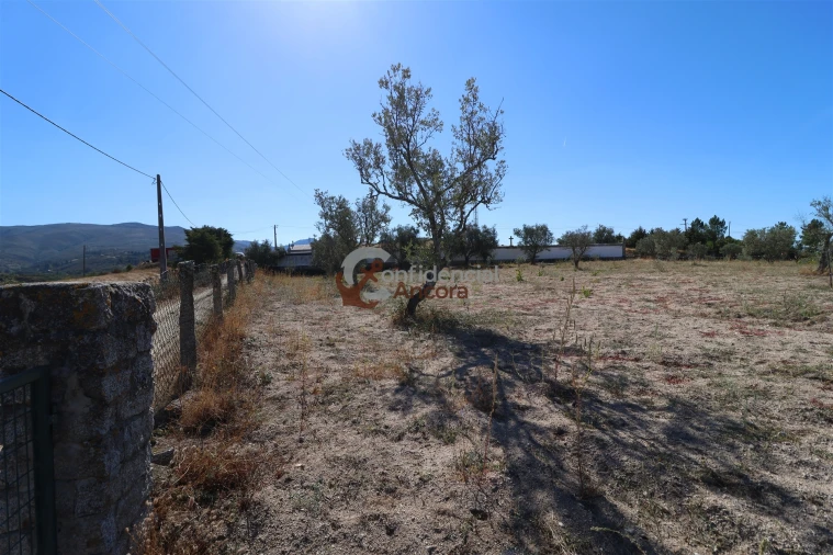 Quinta T0 para Venda em Carrapichana Foto 35