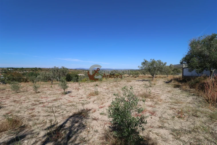 Quinta T0 para Venda em Carrapichana Foto 43