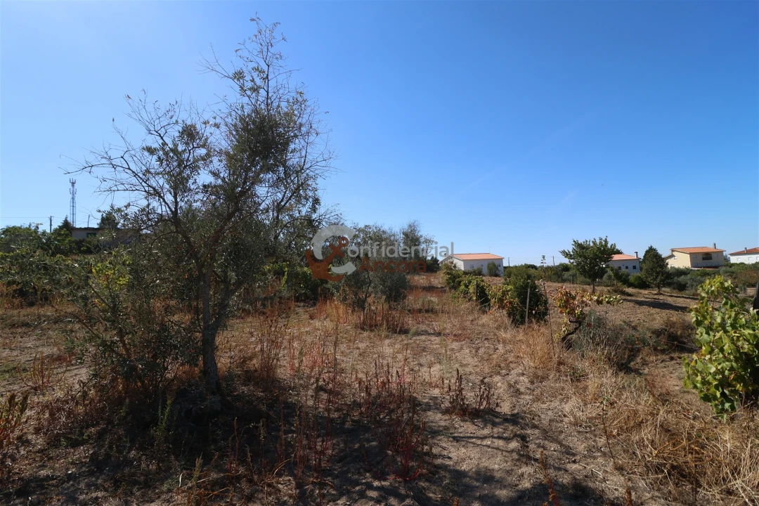 Quinta T0 para Venda em Carrapichana Foto 18