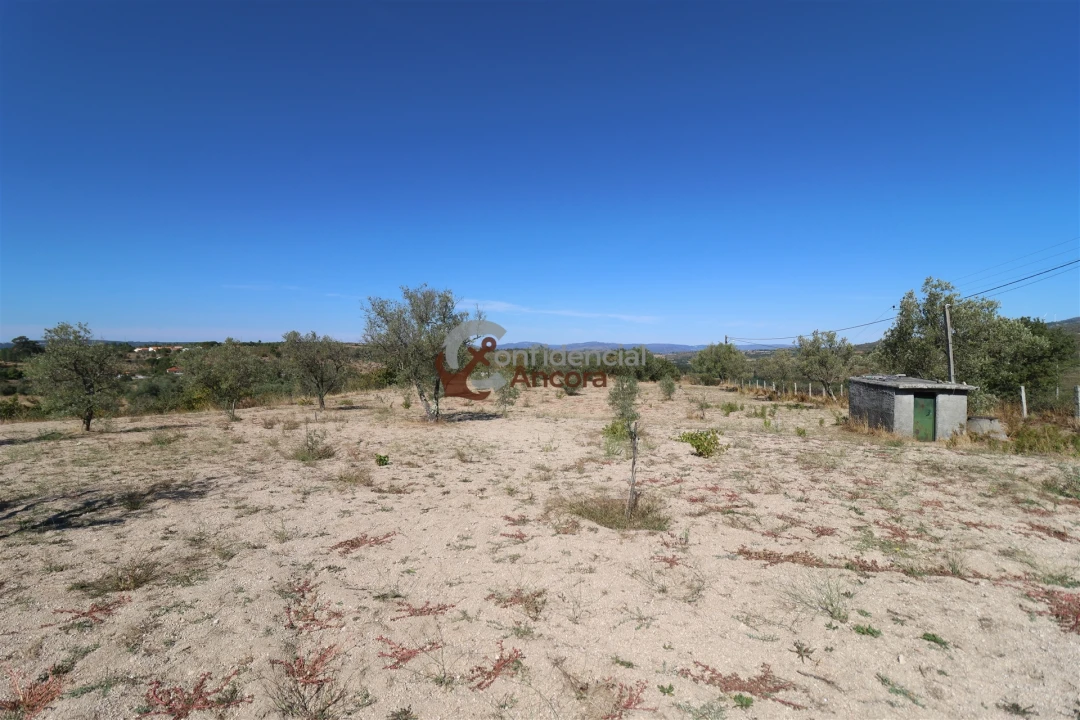 Quinta T0 para Venda em Carrapichana Foto 39