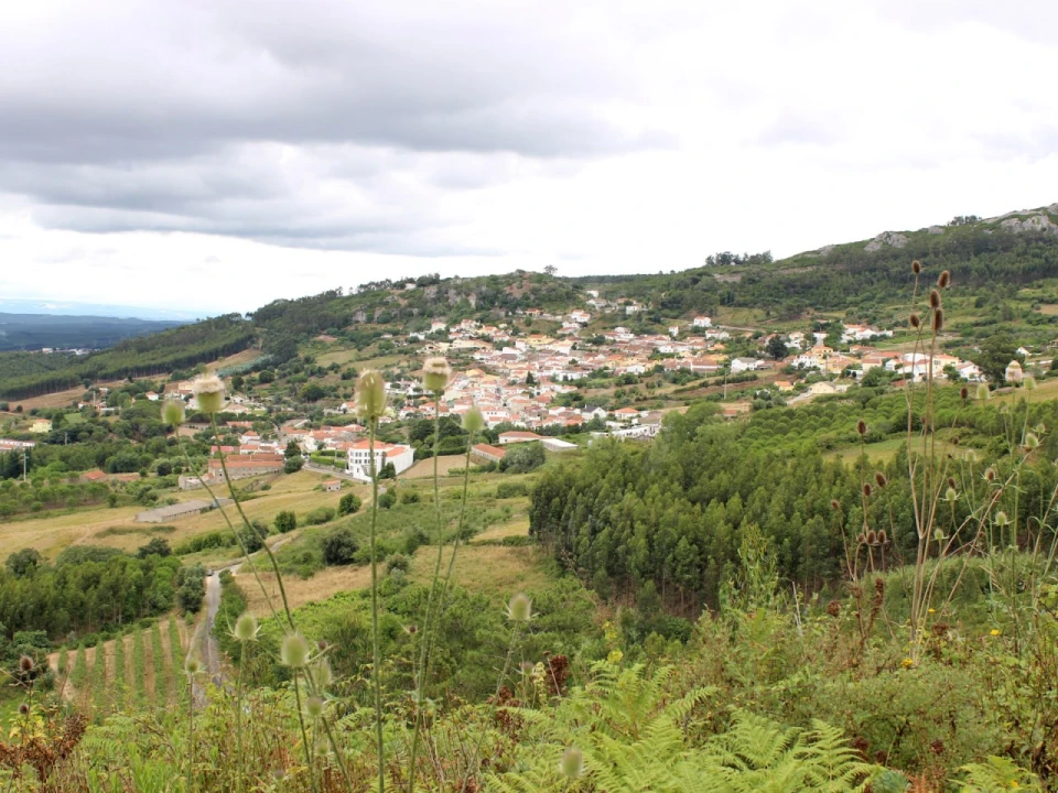 Terreno Agricola ou Rústico para Venda em Lamas e Cercal Foto 12