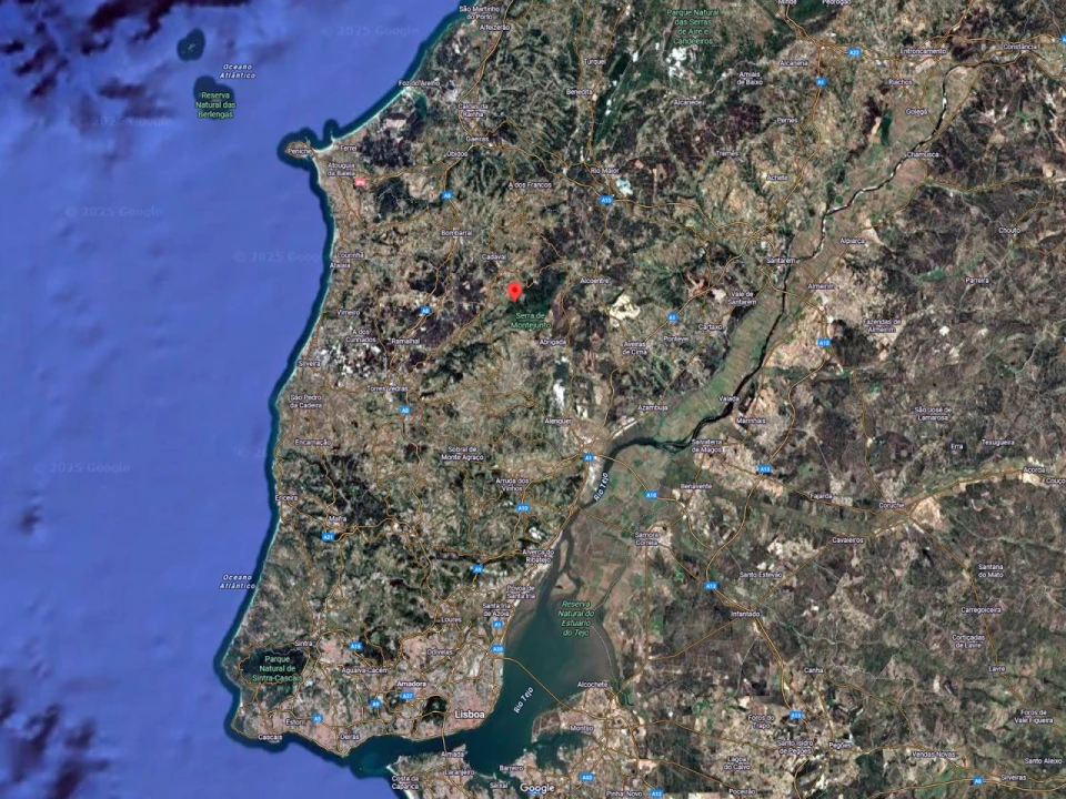 Terreno Agricola ou Rústico para Venda em Lamas e Cercal Foto 27