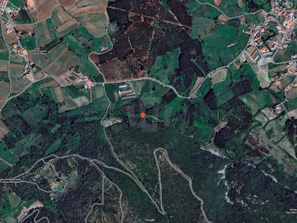 Terreno Agricola ou Rústico para Venda em Lamas e Cercal Foto 28