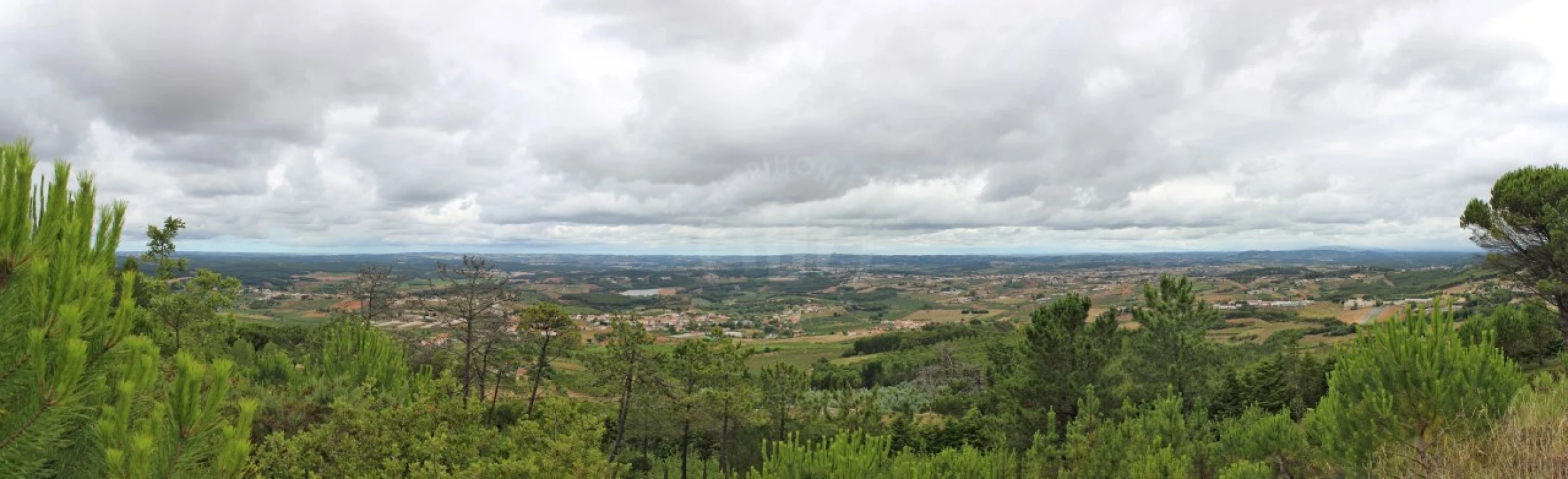 Terreno Agricola ou Rústico para Venda em Lamas e Cercal Foto 29