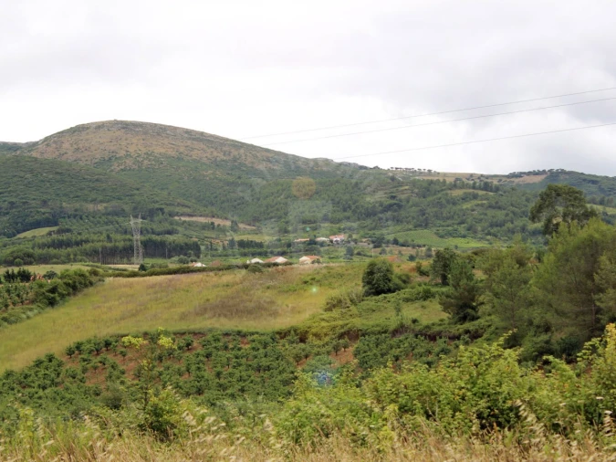Terreno Agricola ou Rústico para Venda em Lamas e Cercal Foto 14