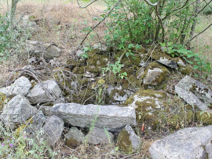 Terreno Agricola ou Rústico para Venda em Lamas e Cercal Foto 18