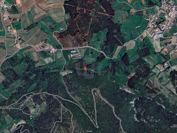 Terreno Agricola ou Rústico para Venda em Lamas e Cercal Foto 28