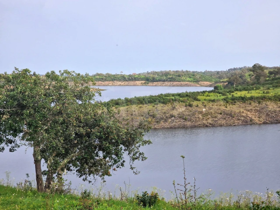 Terreno Agricola ou Rústico para Venda em Cercal Foto 1