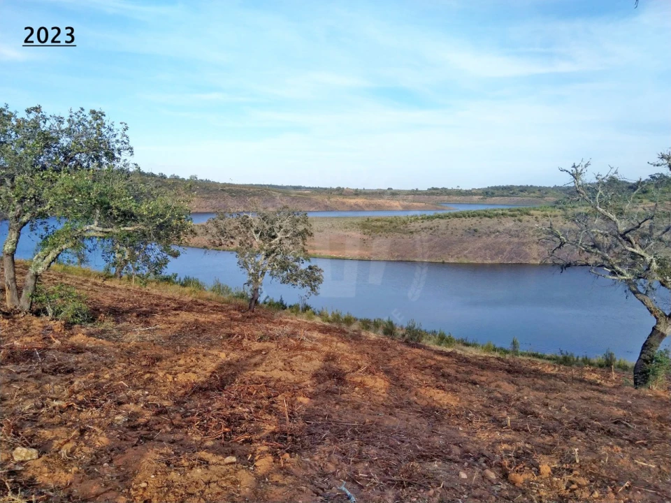 Terreno Agricola ou Rústico para Venda em Cercal Foto 9