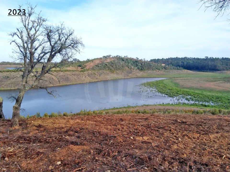 Terreno Agricola ou Rústico para Venda em Cercal Foto 10