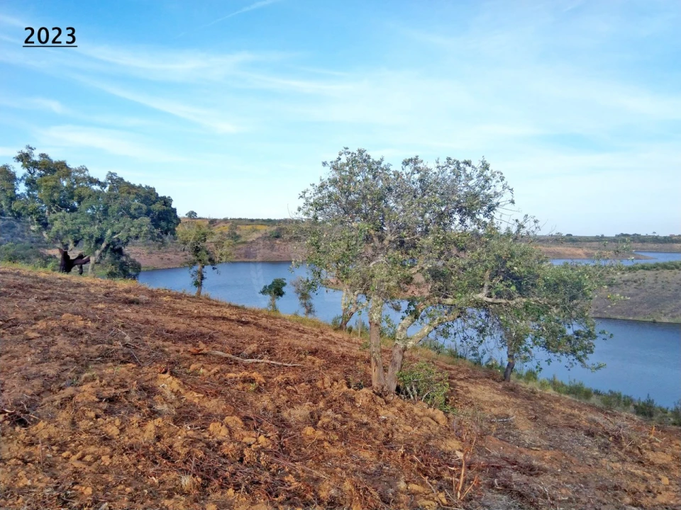 Terreno Agricola ou Rústico para Venda em Cercal Foto 12