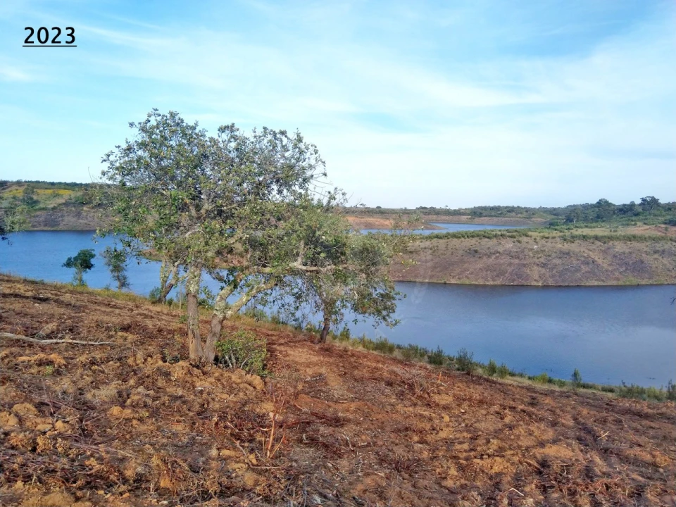Terreno Agricola ou Rústico para Venda em Cercal Foto 13