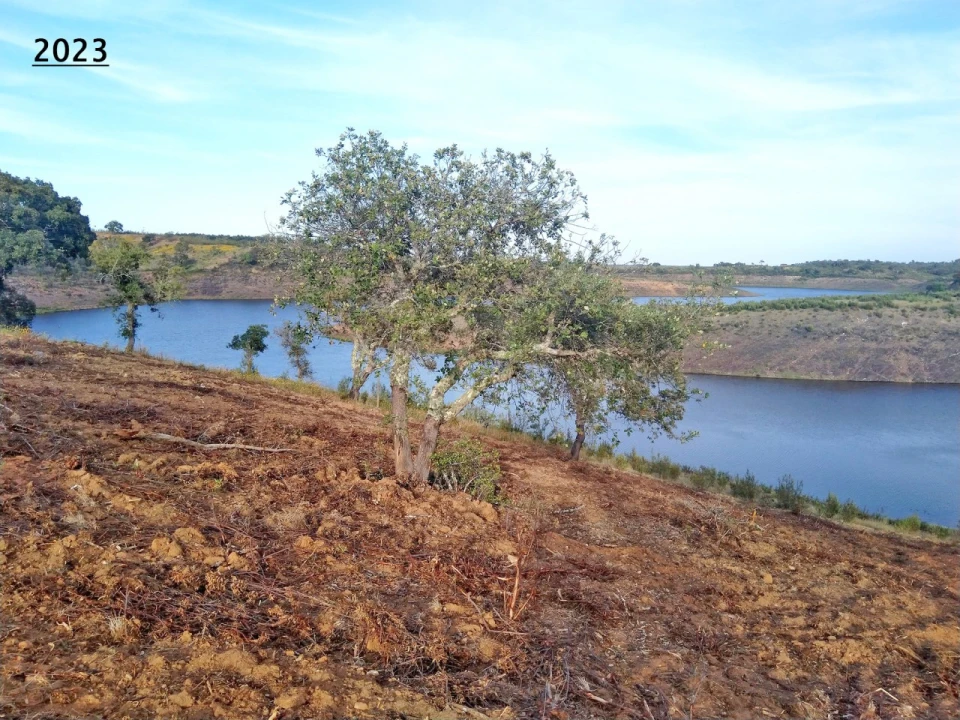 Terreno Agricola ou Rústico para Venda em Cercal Foto 14