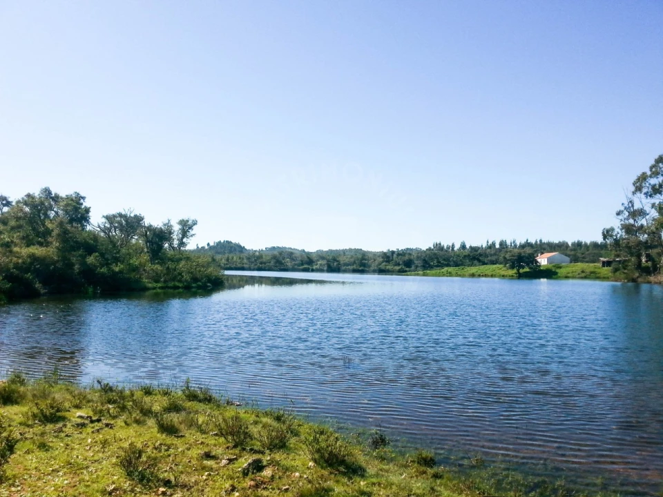 Terreno Agricola ou Rústico para Venda em Cercal Foto 14