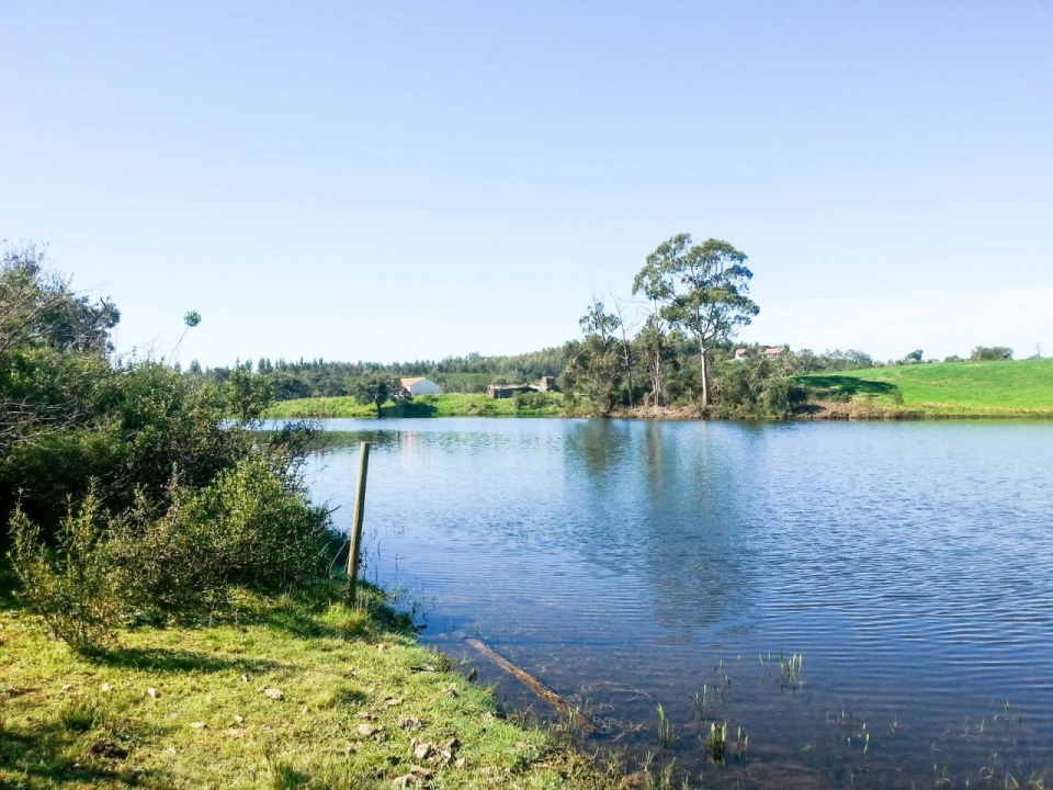 Terreno Agricola ou Rústico para Venda em Cercal Foto 15