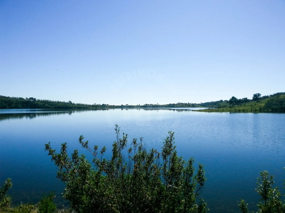 Terreno Agricola ou Rústico para Venda em Cercal Foto 16