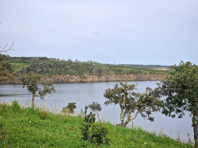 Terreno Agricola ou Rústico para Venda em Cercal Foto 2