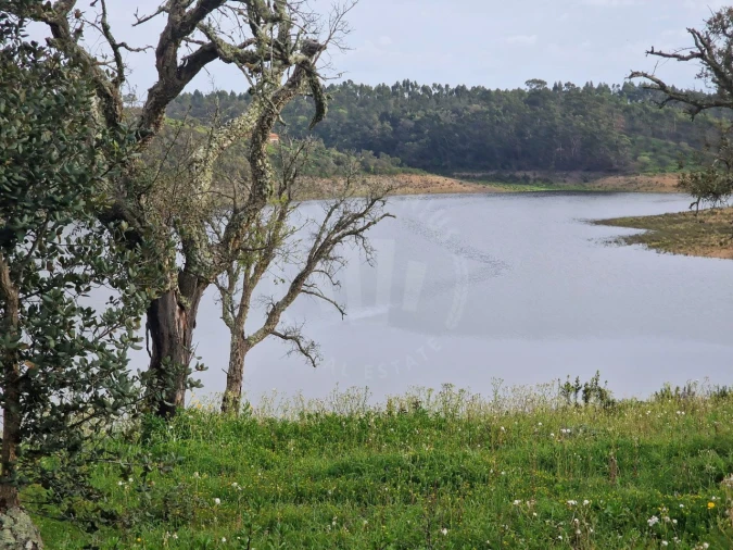 Terreno Agricola ou Rústico para Venda em Cercal Foto 3