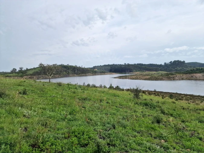 Terreno Agricola ou Rústico para Venda em Cercal Foto 4
