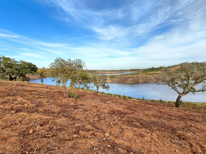Terreno Agricola ou Rústico para Venda em Cercal Foto 6