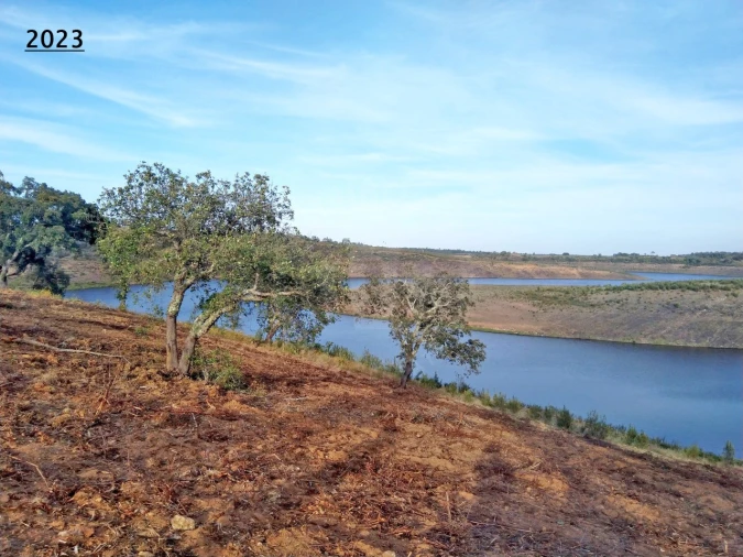 Terreno Agricola ou Rústico para Venda em Cercal Foto 8