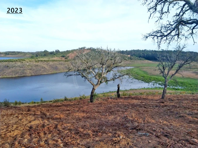 Terreno Agricola ou Rústico para Venda em Cercal Foto 11