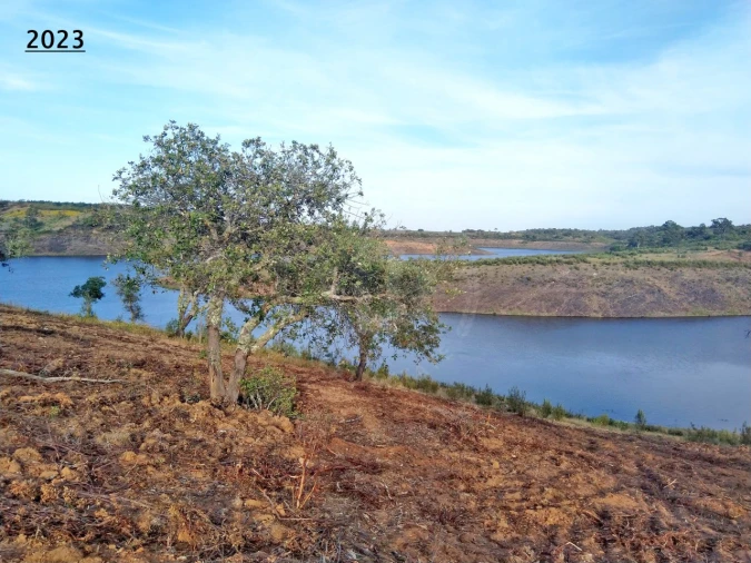 Terreno Agricola ou Rústico para Venda em Cercal Foto 13
