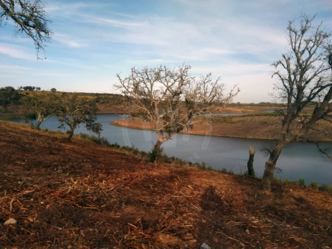 Terreno Agricola ou Rústico para Venda em Cercal Foto 4