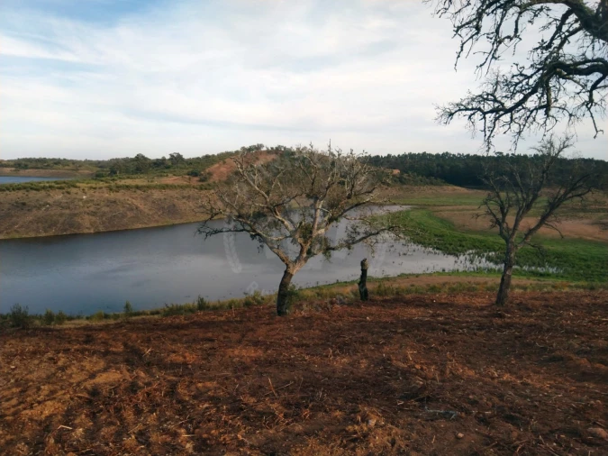 Terreno Agricola ou Rústico para Venda em Cercal Foto 10