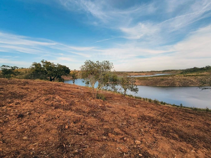 Terreno Agricola ou Rústico para Venda em Cercal Foto 13