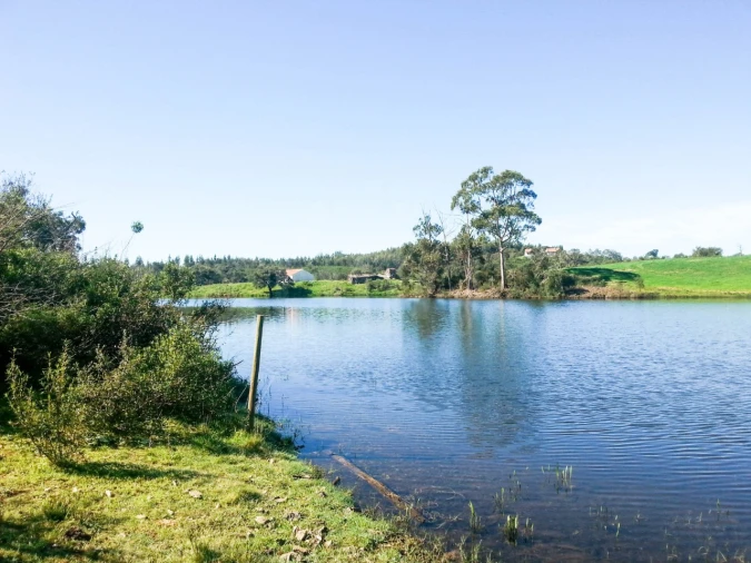 Terreno Agricola ou Rústico para Venda em Cercal Foto 15