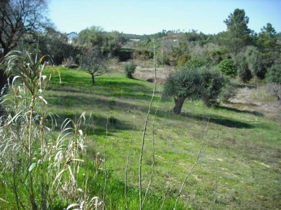 Terreno Agricola ou Rústico para Venda em Carregueiros Foto 6
