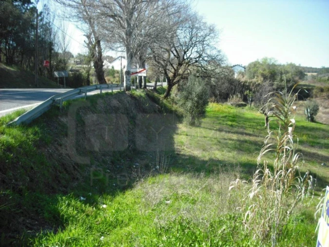 Terreno Agricola ou Rústico para Venda em Carregueiros Foto 5