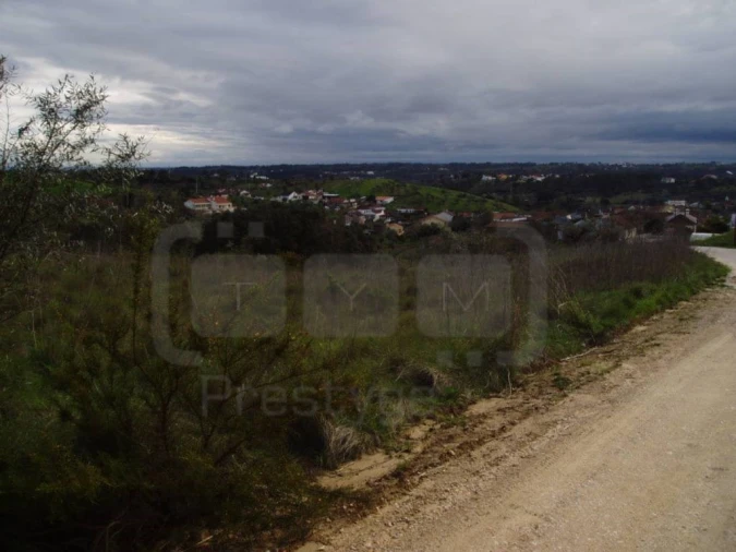 Terreno Agricola ou Rústico para Venda em Madalena e Beselga Foto 3
