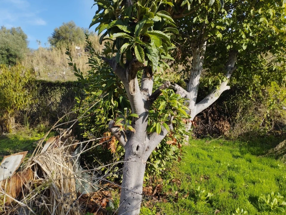 Prédio para Venda em Beato Foto 21