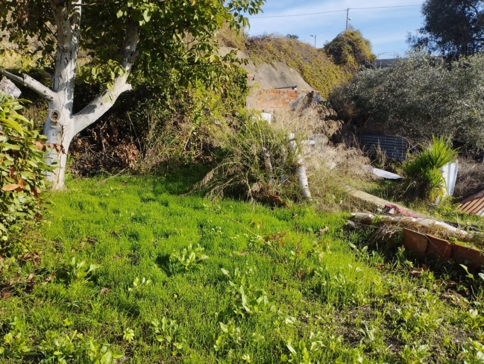 Prédio para Venda em Beato Foto 24