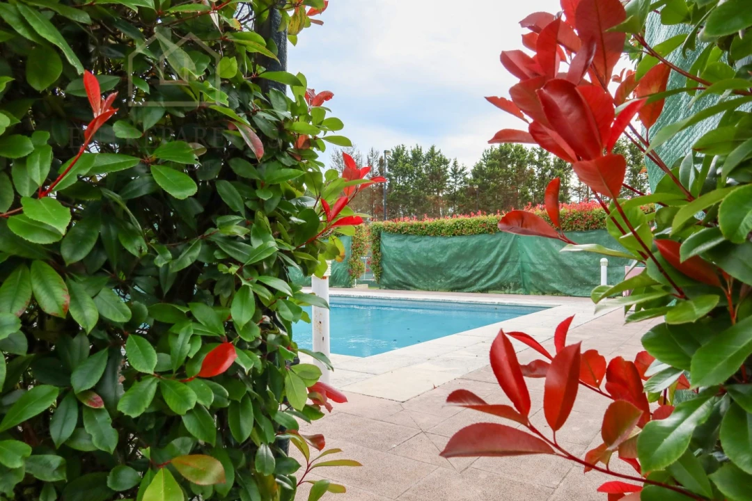 Moradia T4 para Venda em Ovar, São João, Arada e São Vicente de Pereira Jusã Foto 53