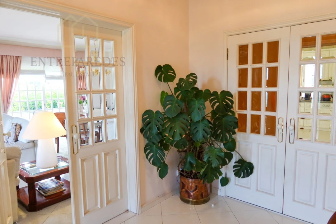 Moradia T4 para Venda em Ovar, São João, Arada e São Vicente de Pereira Jusã Foto 3