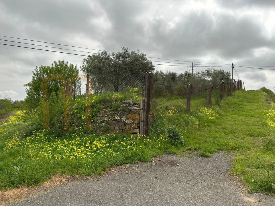 Terreno Agricola ou Rústico para Venda em Espirito Santo Foto 1