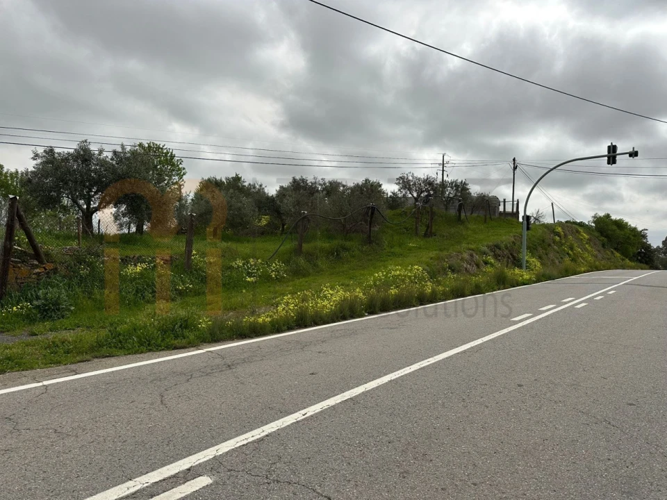 Terreno Agricola ou Rústico para Venda em Espirito Santo Foto 6