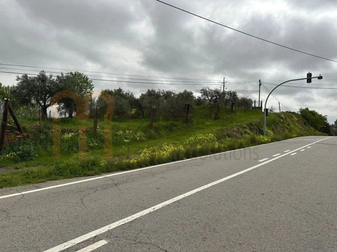 Terreno Agricola ou Rústico para Venda em Espirito Santo Foto 6
