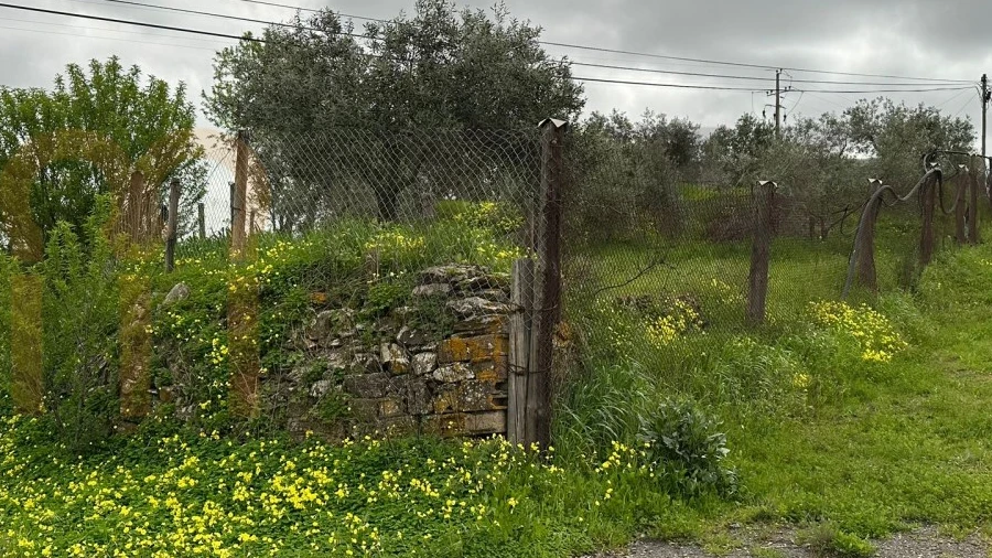 Terreno Agricola ou Rústico para Venda em Espirito Santo