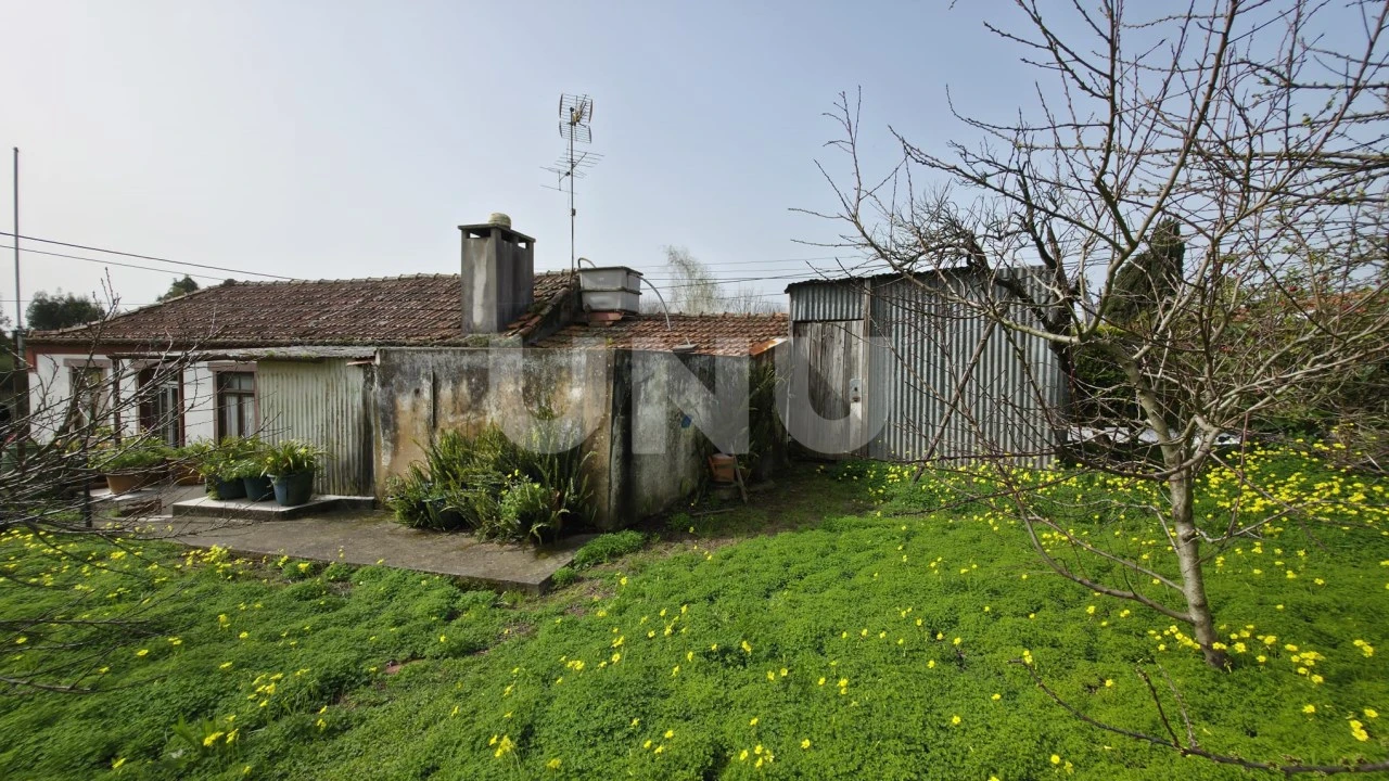 Moradia T3 para Venda em Ovar, São João, Arada e São Vicente de Pereira Jusã Foto 19