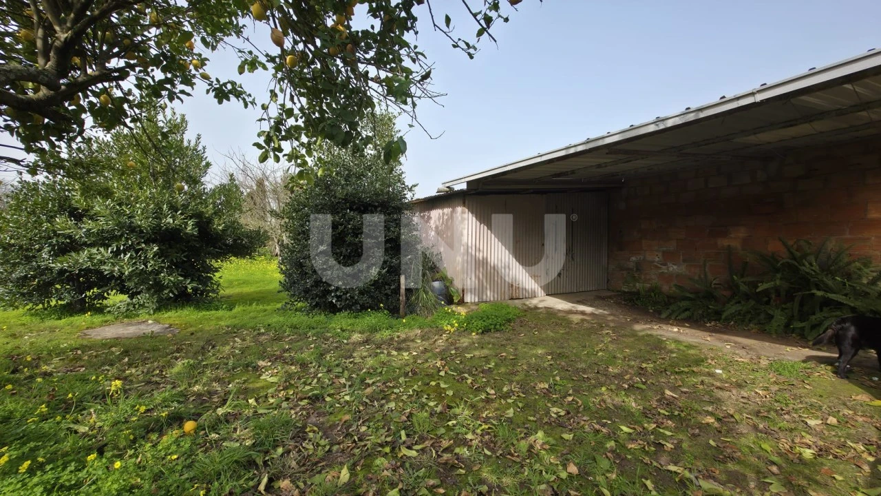 Moradia T3 para Venda em Ovar, São João, Arada e São Vicente de Pereira Jusã Foto 21