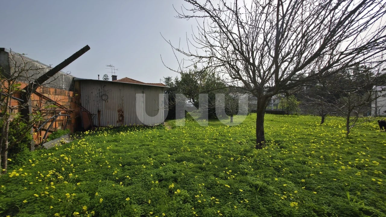 Moradia T3 para Venda em Ovar, São João, Arada e São Vicente de Pereira Jusã Foto 24