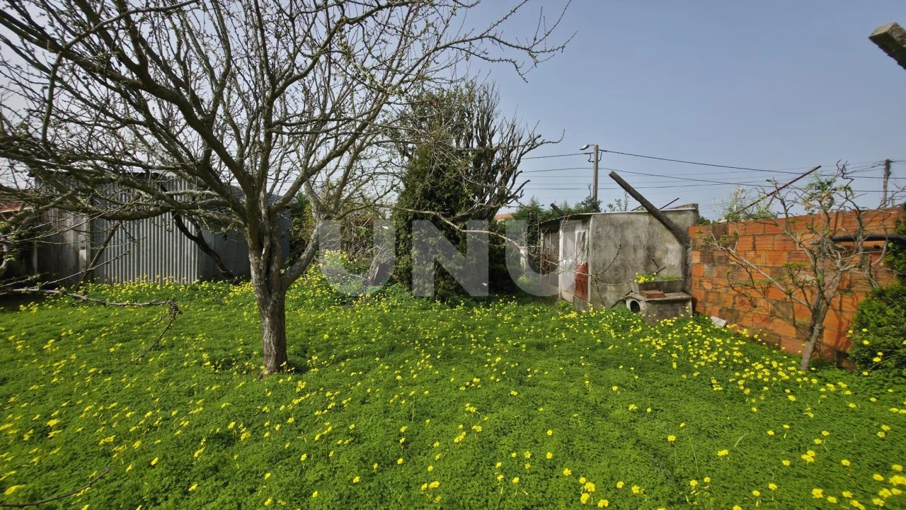 Moradia T3 para Venda em Ovar, São João, Arada e São Vicente de Pereira Jusã Foto 26