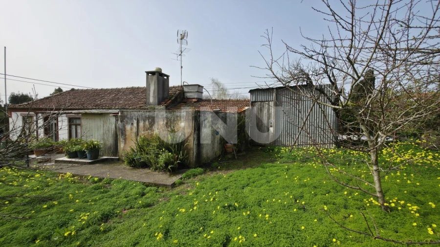 Moradia T3 para Venda em Ovar, São João, Arada e São Vicente de Pereira Jusã Foto 19