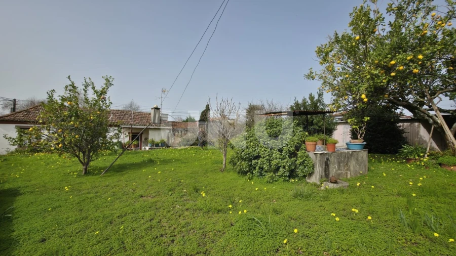 Moradia T3 para Venda em Ovar, São João, Arada e São Vicente de Pereira Jusã Foto 23