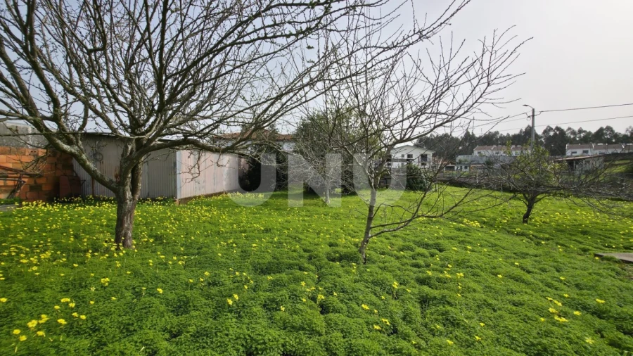 Moradia T3 para Venda em Ovar, São João, Arada e São Vicente de Pereira Jusã Foto 25